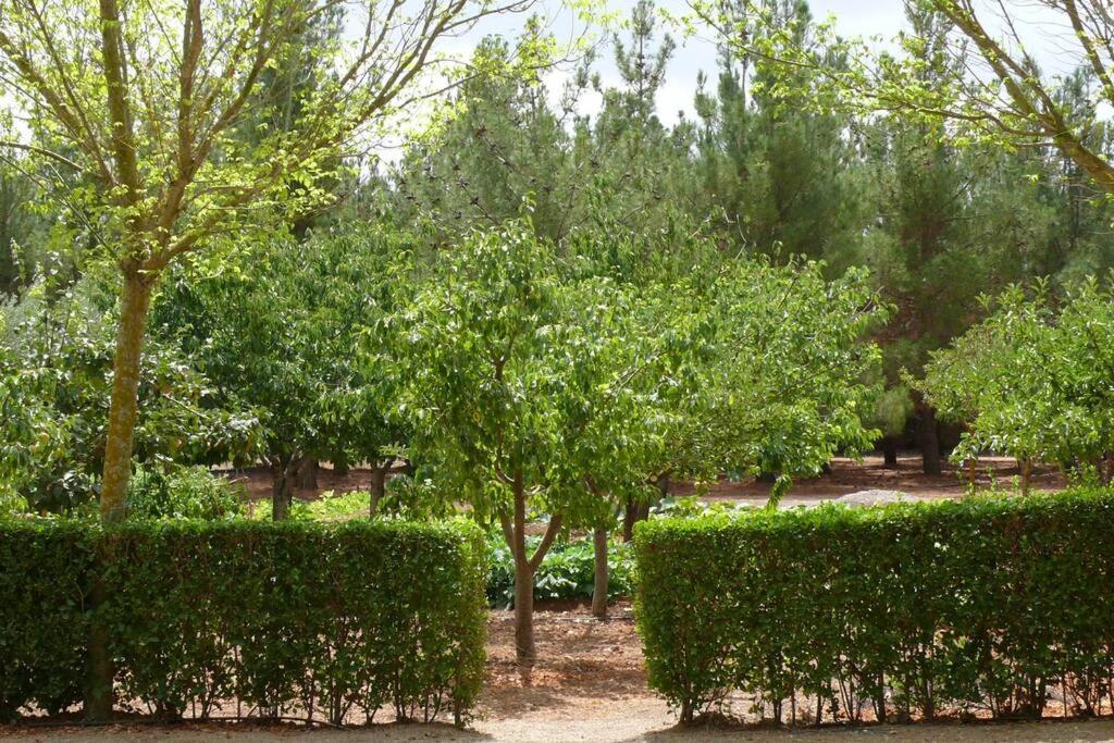 Casa En El Campo Con Encanto Almansa Exterior photo