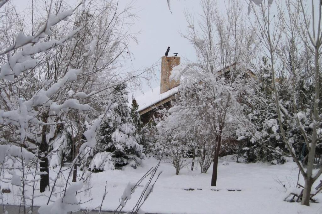 Casa En El Campo Con Encanto Almansa Exterior photo
